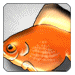 Fish.gif