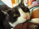 Missgex Photo
