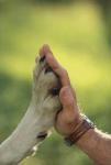 Whispers of Hope Photo