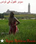 Jesuislelapin Photo