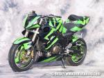 Kawasaki29 Photo