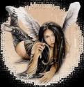 *Chrys* Photo