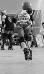 littledada Photo