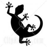Gecko