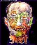 LSD