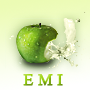 Emi2207