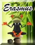 Erasmus