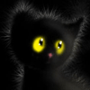 x_Owl