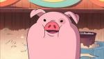 Pepitaa
