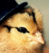 PoussinMagique
